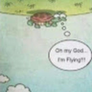 Meet your Posher, Brent